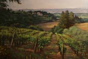 Tuscany vines